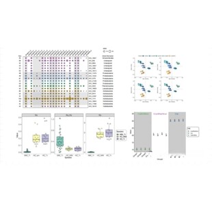 生信分析GBD数据分析/NHANES数据库/孟德尔随机化多组学联合分析