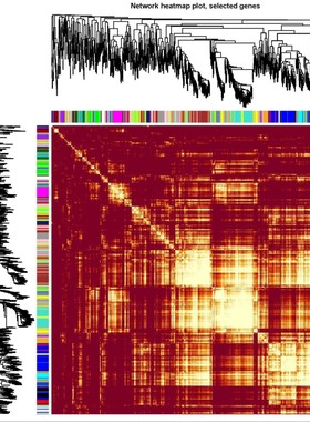 WGCNA分析代分析加权共表达网络分析数据库农学医学生物学基因SCI