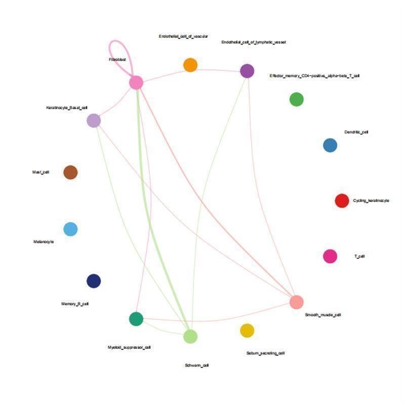 生信分析服务TCGA/GEO数据挖掘孟德尔随机|化单细胞|转录组代做