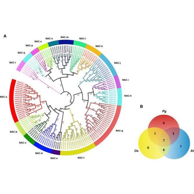 分子对接结构预测分析饱和突变模拟