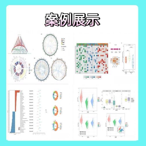 生信分析SCI服务 R语言单细胞测序数据 16s转录组基因组分析