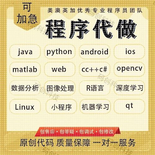 python代编程java代码编写c/c++程序代做R语言数据分析matlab帮做