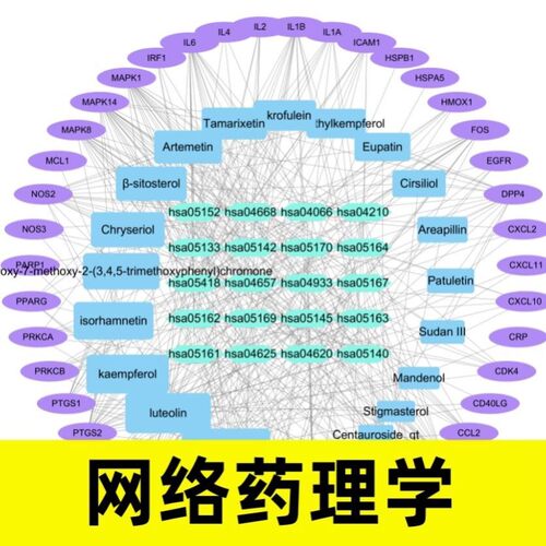 生信分析TCGA GEO数据挖掘 go kegg 富集分析 WGCNA预后模型诊断