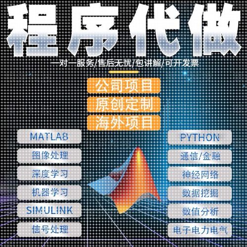 matlab代码帮做Python代编程序图像信号处理电气彷真代做通信编写