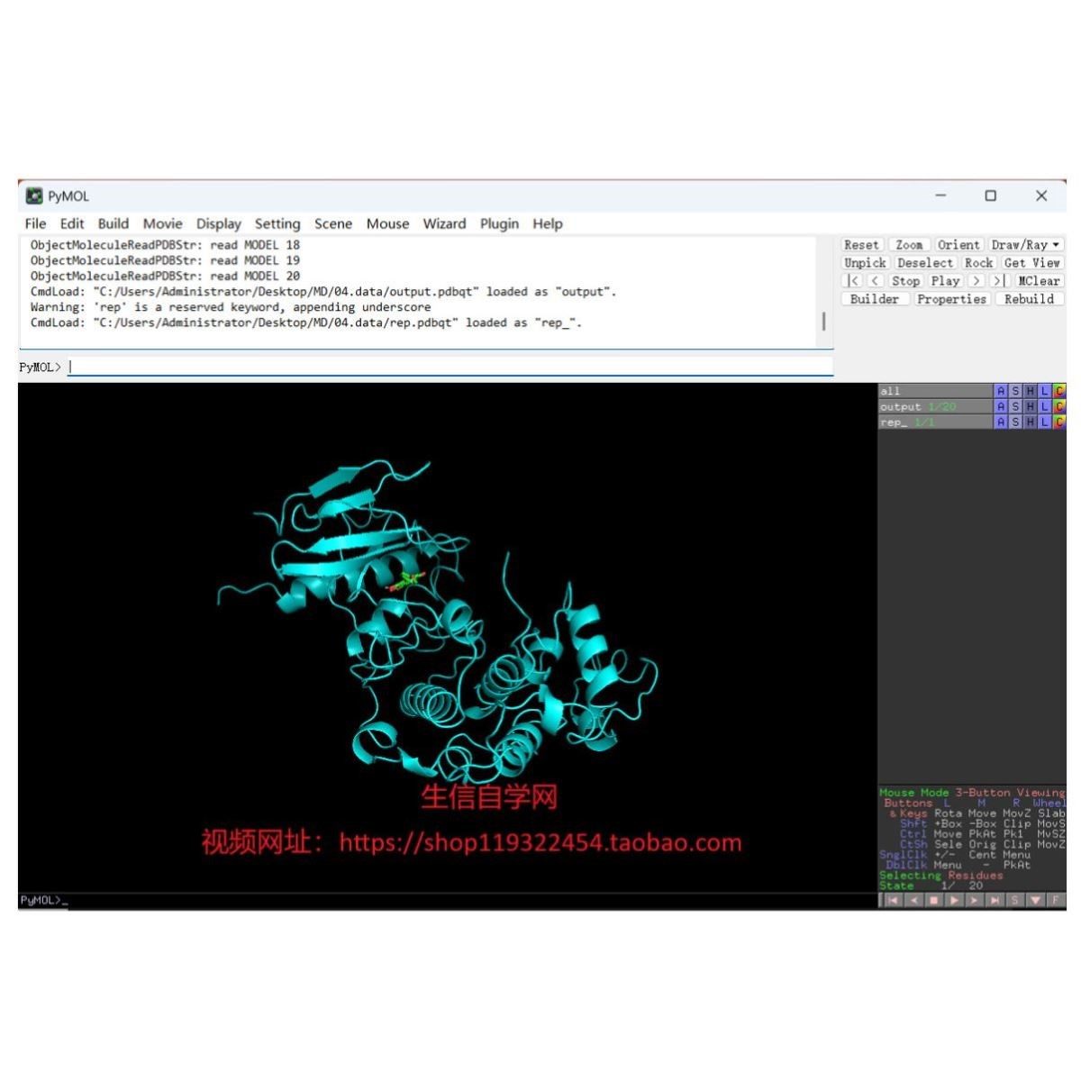 分子动力学模拟视频(Gromacs软件/基于分子对接结果)