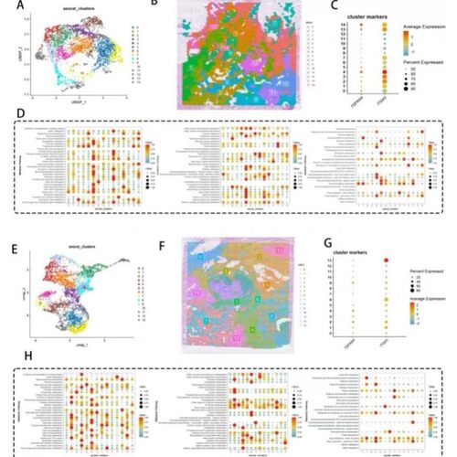 模拟计算代算定制服务 性原理VASP DFT量子化学 分子动力学MS