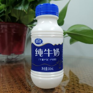夏进纯牛奶243mL×10瓶宁夏散装