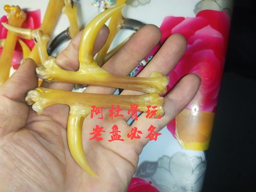 文玩鸡爪骨把件老公鸡爪骨鸡蹬子抓钱手文玩新宠纯天然老公鸡爪子