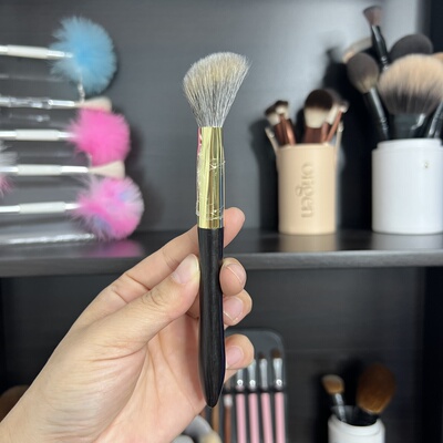 进口长尺稀有松鼠毛混毛腮红刷 小号坡型化妆刷多用面中刷 D29A