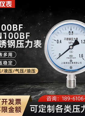 YN100BF不锈钢耐震压力表304/316L接头表壳耐腐蚀0-0.6/1.6Mpa