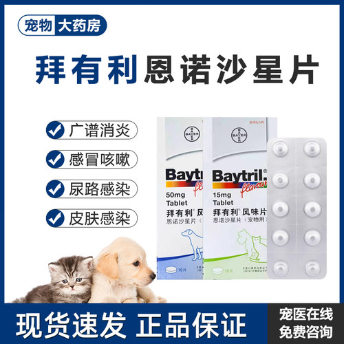 拜有利恩诺沙星猫咪狗狗消炎药猫咪术后细菌尿路感染皮肤感染