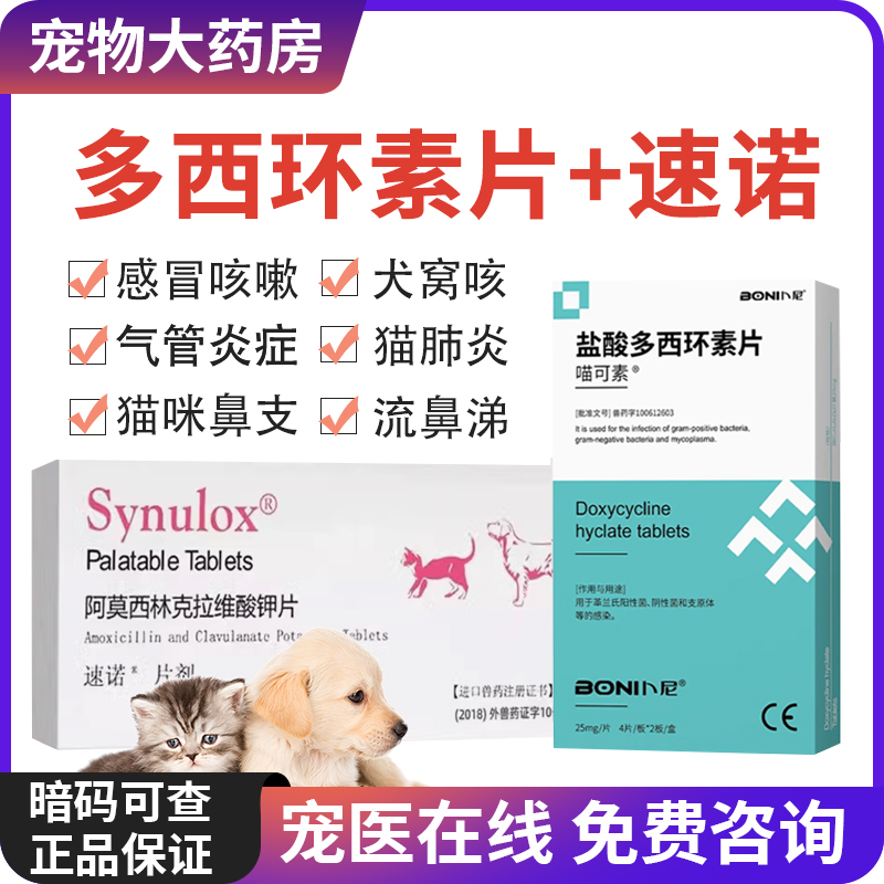 速诺消炎片鼻支治疗多西猫狗阿莫西林克拉维酸钾片猫咪感冒消炎药