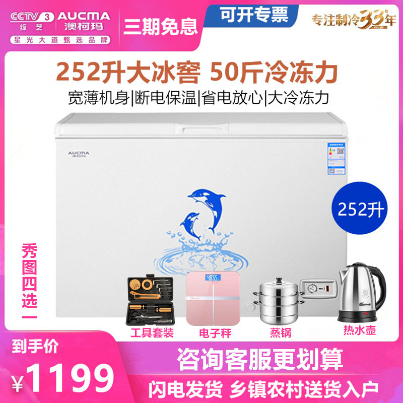 Aucma/澳柯玛 BC/BD-252NE冰柜商用家用大容量冷柜卧式冷藏冷冻柜
