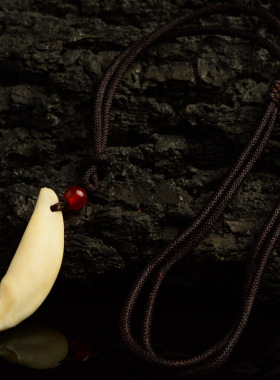 保真正宗宝宝婴儿狗牙齿