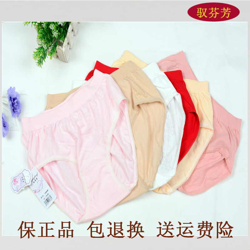 女士纯棉大码中老年高腰三角裤图片