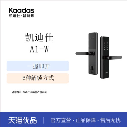 凯迪仕智能门锁智能密码锁A1-W