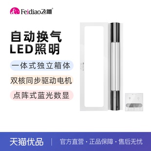 耀60 飞雕风暖浴霸卫生间暖风机多功能浴室取暖一体式