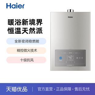 JSQ31 海尔燃气热水器 16FT3U1 海尔 Haier