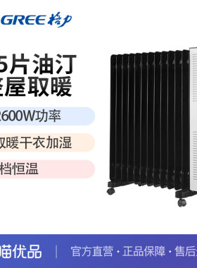 取暖器家用烤火炉油汀格力
