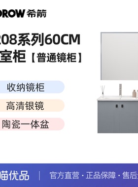 希箭卫浴（HOROW）1208系列浴室柜普通镜柜陶瓷盆O2O