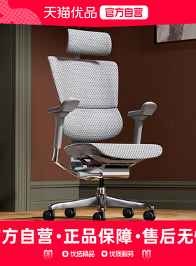 【新升级】Ergonor保友优旗舰 2代人体工学椅电脑椅办公椅护腰椅