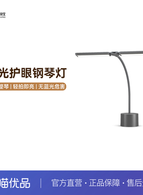 孩视宝充电护眼钢琴灯台灯儿童专业练琴琴谱专用学习阅读灯NS20-P