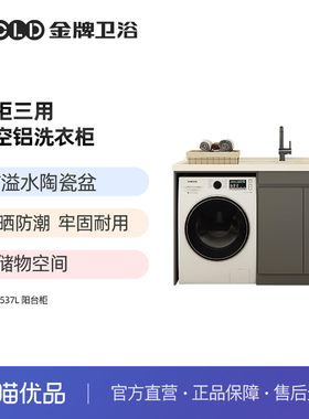 GOLD金牌卫浴 阳台洗衣机柜一体阳台柜 RF89537L （不含安装）