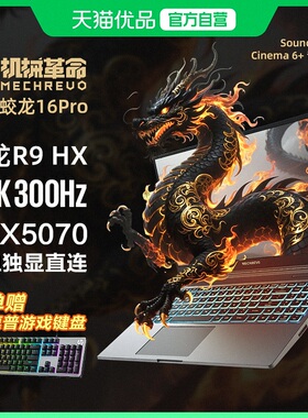 MECHREVO/机械革命蛟龙16Pro 潮玩版 锐龙R9-8940HX 5070独显16英寸大屏游戏笔记本电脑