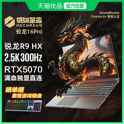 机械革命蛟龙16Pro32G1T豪华版