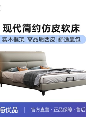 双纯卧室双人床现代简约百搭风格C006