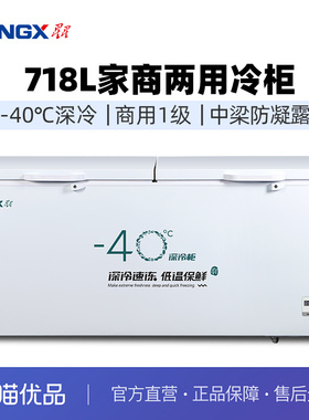 星星（XINGX）718升商用-40深冷速冻冷柜 BD/BC-718GS