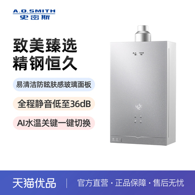 A.O.史密斯16升燃气热水器JSQ31-EC5