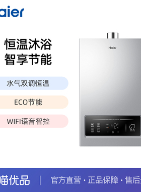 Haier/海尔 JSQ25-13MY3L(12T)U1 银 燃气热水器