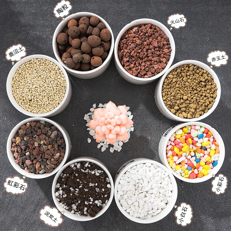 陶粒营养土白石子彩石子火山石彩虹石喷壶赤玉石鹿沼土园艺三件套