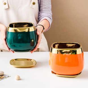 北欧轻奢陶瓷花盆蝴蝶兰年宵花祖母绿欧式金边绿萝吊兰桌面创意