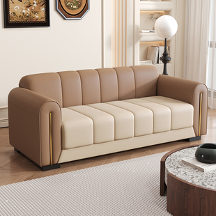 轻奢高级感窄款沙发客厅小户型双人出租房三人位服装店小沙发