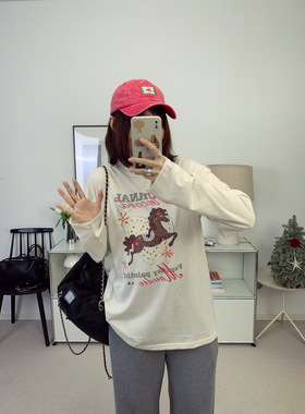 马年特别款！童趣感手绘小马插画刺绣廓形长袖T恤 26春夏新款鸬鹚