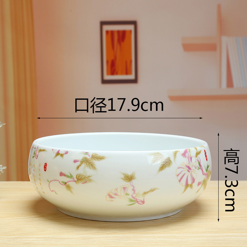 水仙花盆无孔铜钱草花盆白色碗莲盆睡莲水培花盆多肉拼盘花盆陶瓷