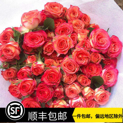 玫瑰花多头素材模板 玫瑰花多头图片下载 小麦优选