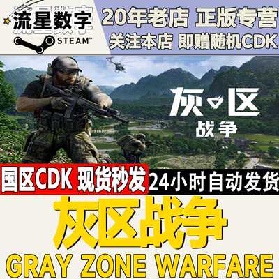 Steam正版国区KEY 灰区战争 Gray Zone Warfare 激活码CDKEY现货