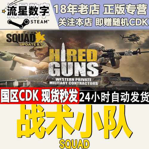 Steam正版国区KEY 战术小队 Squad 激活码现货秒发