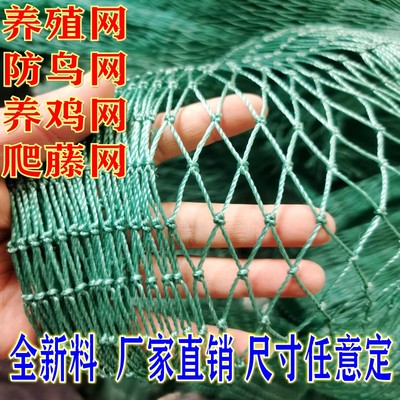 家禽养殖网防鸟网养鸡网爬藤网