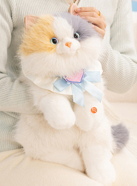 新款正版可爱三花猫公仔背包带围兜布偶猫毛绒玩偶公仔生日礼物