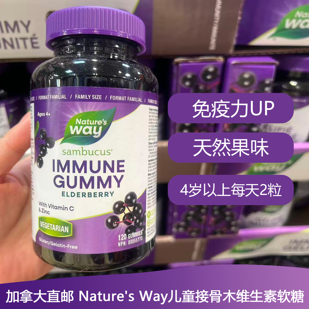 加拿大Nature's Way儿童接骨木维生素软糖120粒水果口味含维C+锌