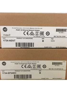 1734-EP24DC模块 AB PLC控制器 罗克韦尔处理器 1734EP24DC