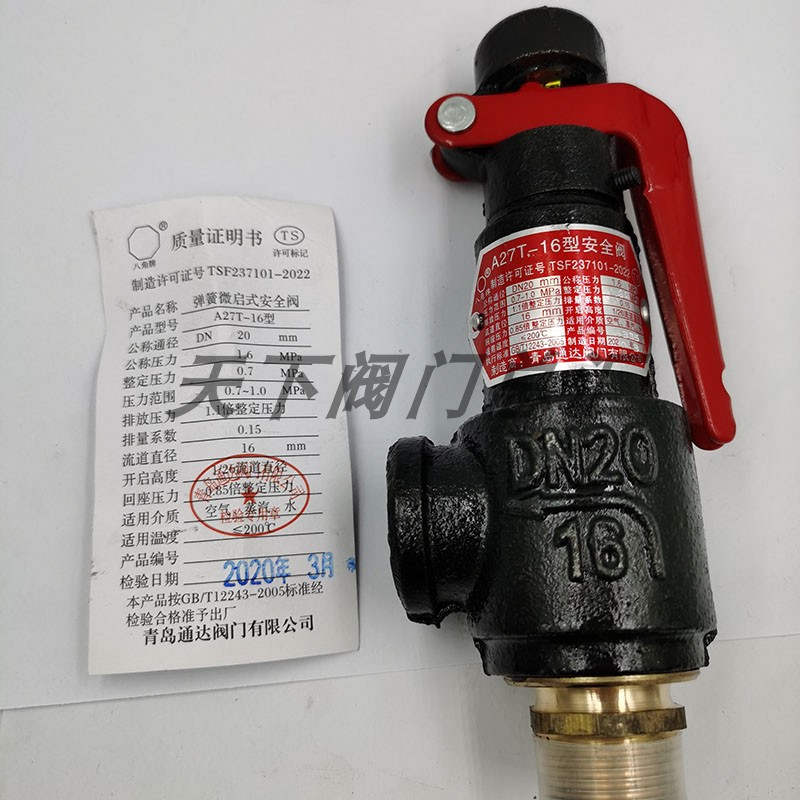 通达弹簧式微储气罐安全阀
