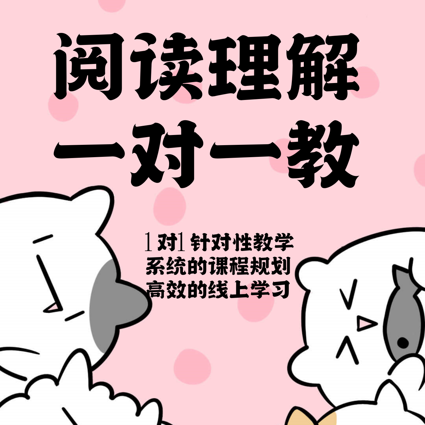 阅读，理解，阅读技巧课程真人1v1老师线上教学