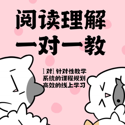 阅读，理解，阅读技巧课程真人1v1老师线上教学