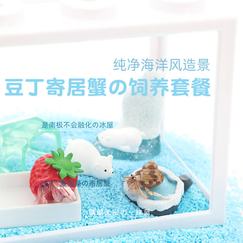 小豆丁寄居蟹套餐套装饲养盒