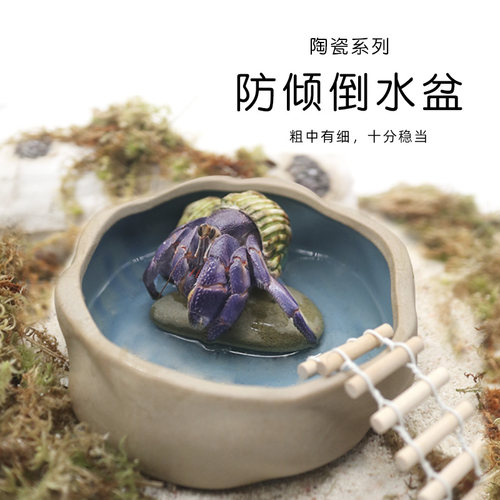 寄居蟹粗陶水盆防倾倒透气自然风